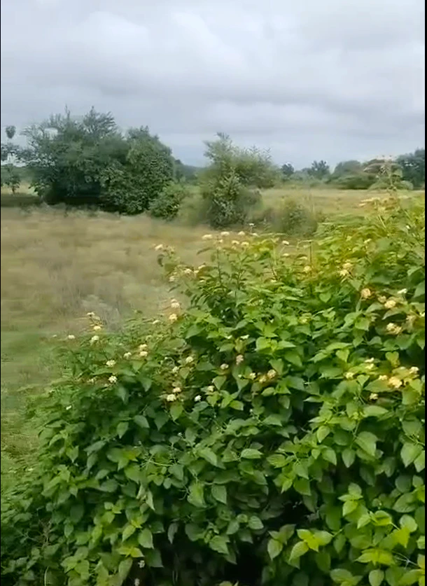 Sirathu, Kaushambi, Uttar Pradesh 212217, India