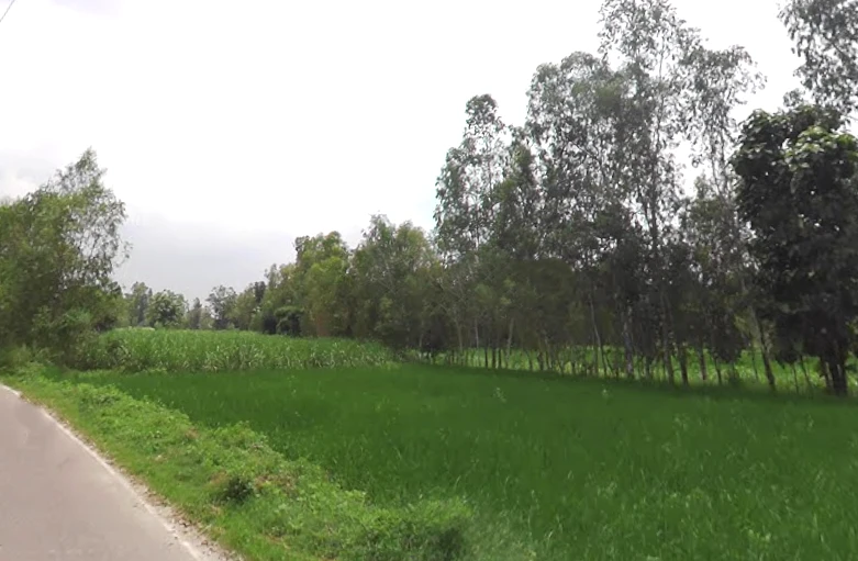 Navrangpur, Uttar Pradesh 247129, India