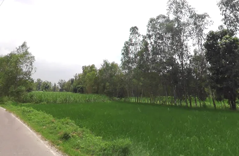 Navrangpur, Uttar Pradesh 247129, India preview 2