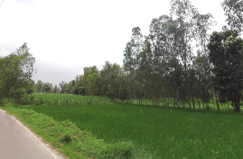 Navrangpur, Uttar Pradesh 247129, India