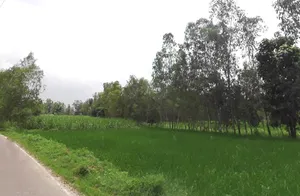 Navrangpur, Uttar Pradesh 247129, India preview 2