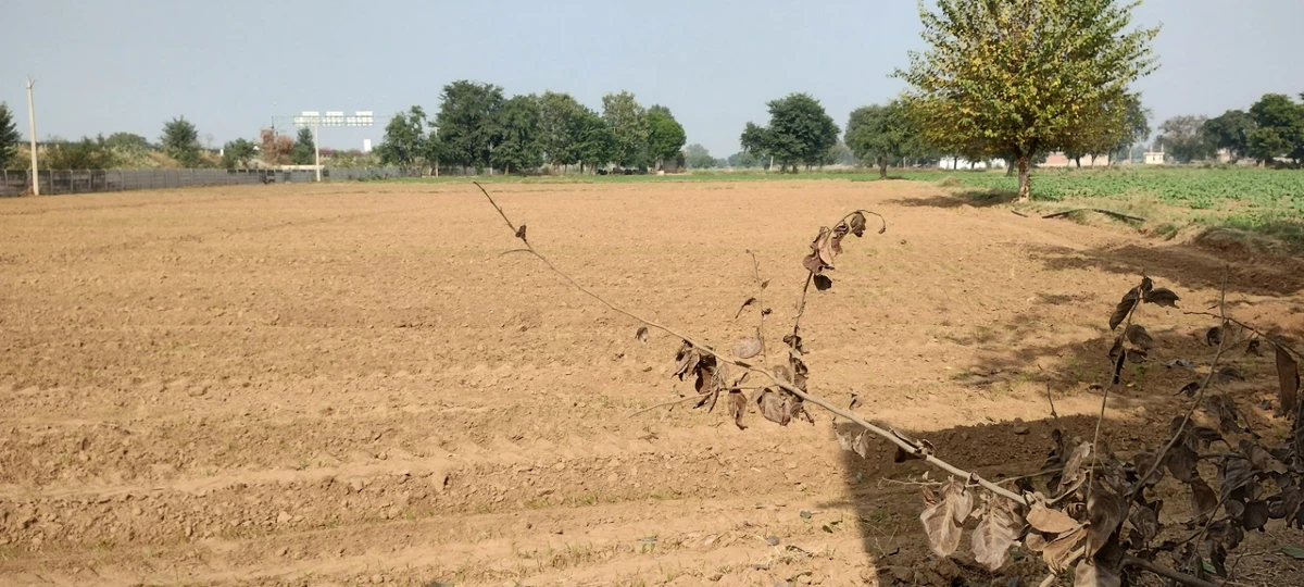 Seetal, Rajasthan 301021, India