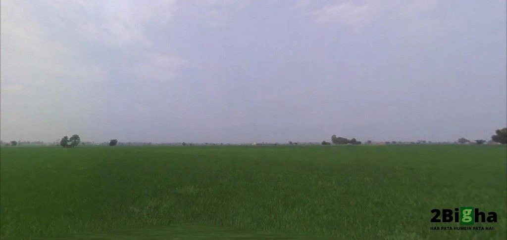 Nissing, Haryana 132024, India