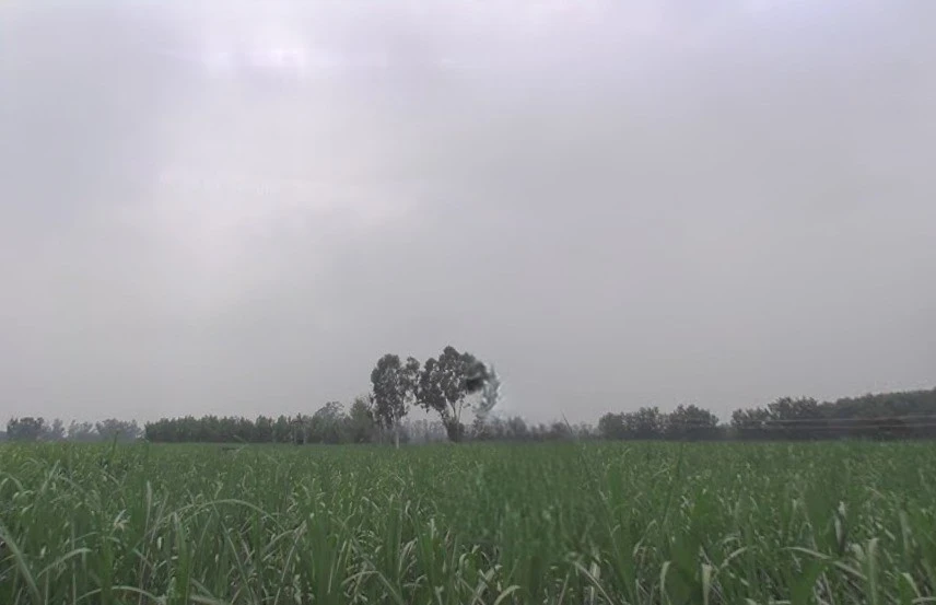 Chhapar, Uttar Pradesh 251307, India