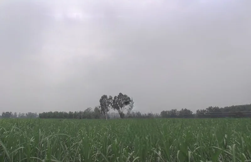 Chhapar, Uttar Pradesh 251307, India preview 3