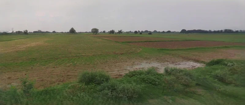 Barnagar, Madhya Pradesh 456771, India preview 3