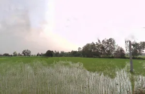 Shahjahanpur, Uttar Pradesh, India preview 3