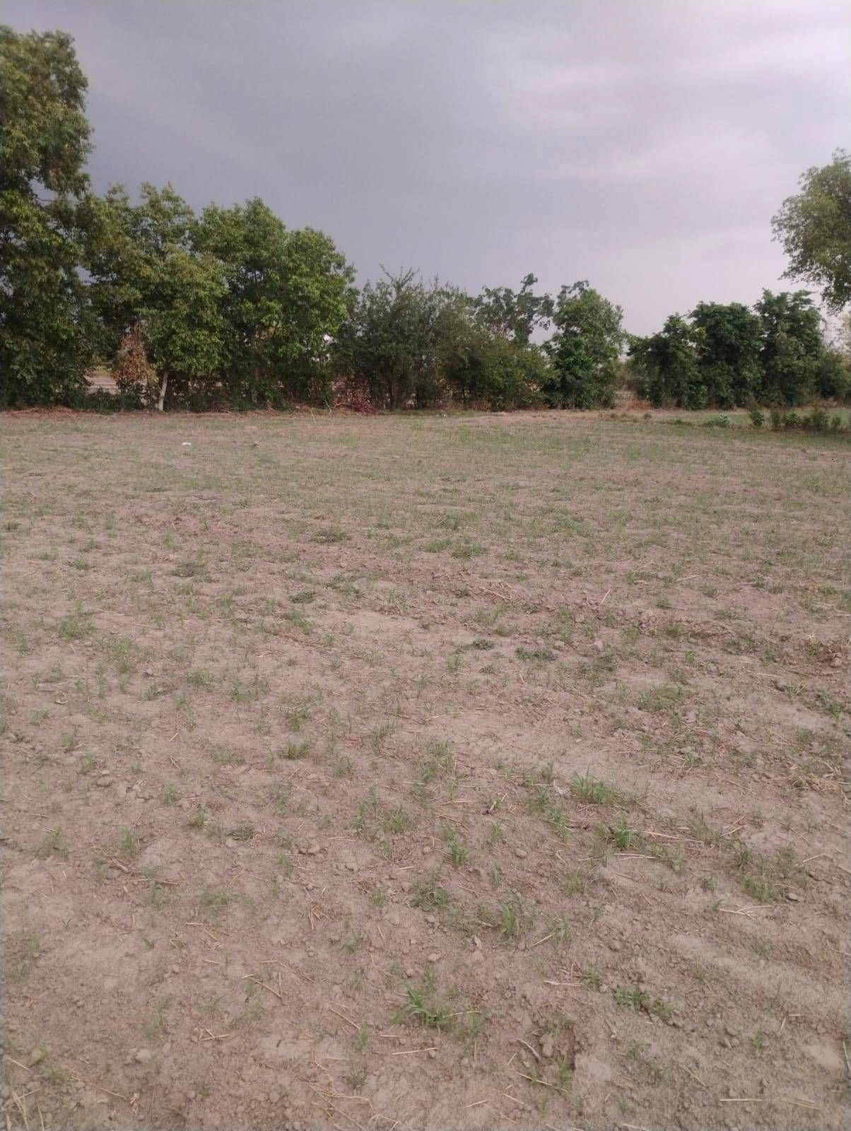 Tarabganj, Uttar Pradesh 271403, India preview 3