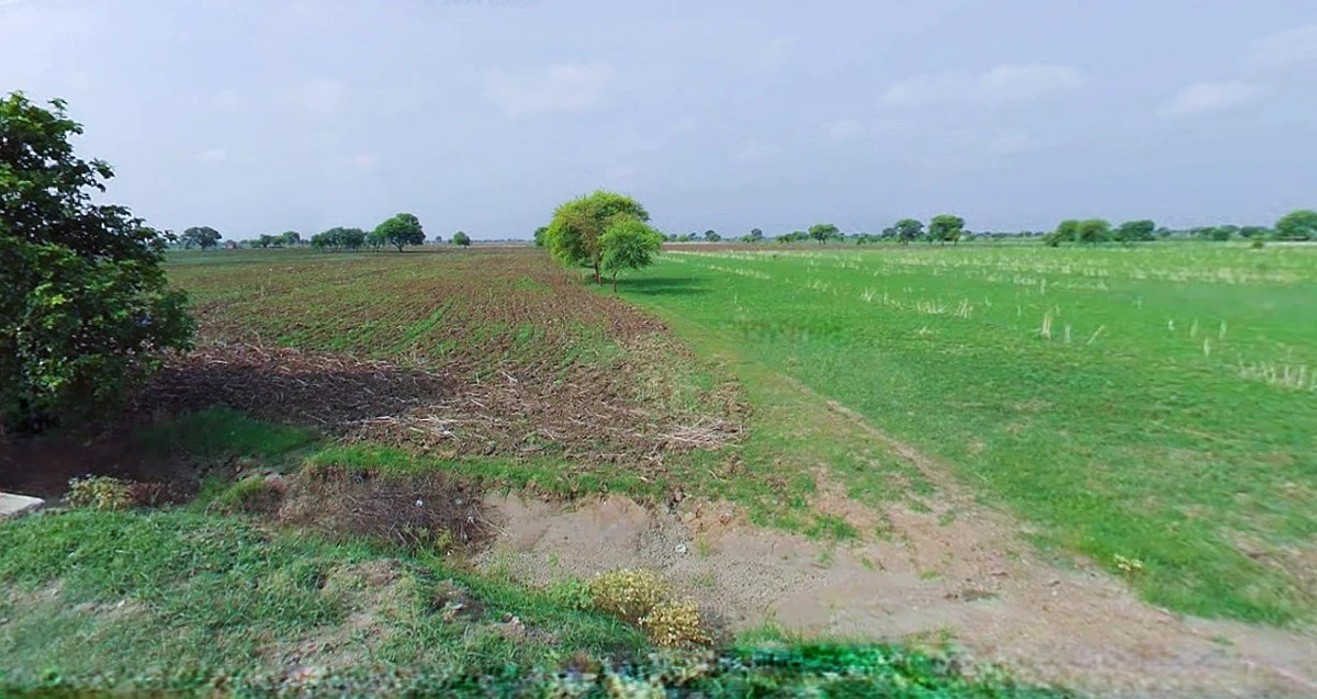 Sri Ganganagar, Rajasthan, India