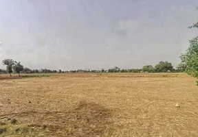 4RCQ+85V, Mayapur, Rajasthan 301707, India preview 2