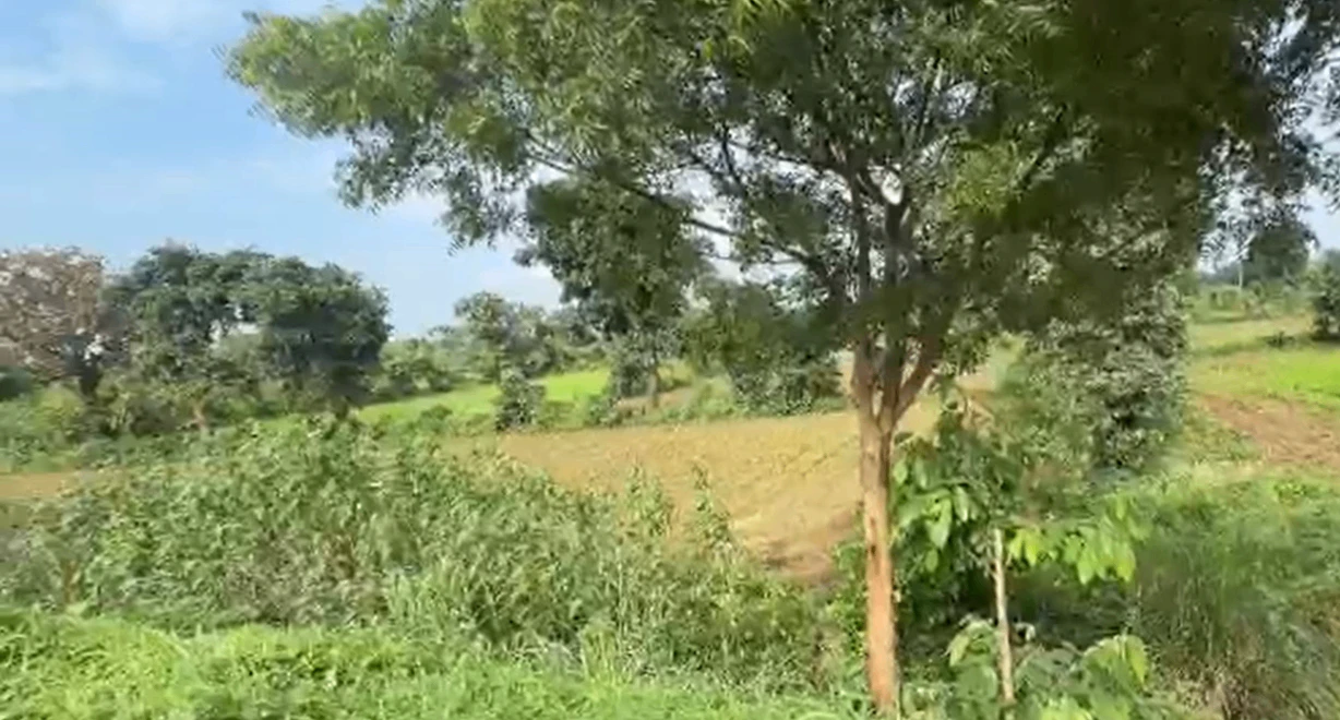 419, Jabalpur, Panagar, Madhya Pradesh 483220, India
