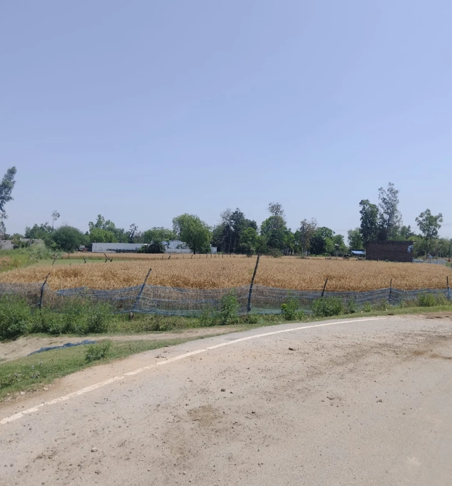 Shankar, Punjab 144042, India preview 2
