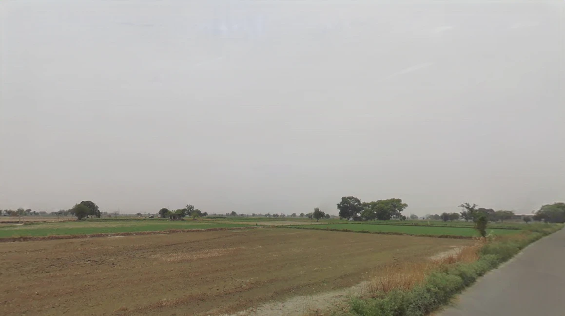 Dhaturi, Haryana 131039, India