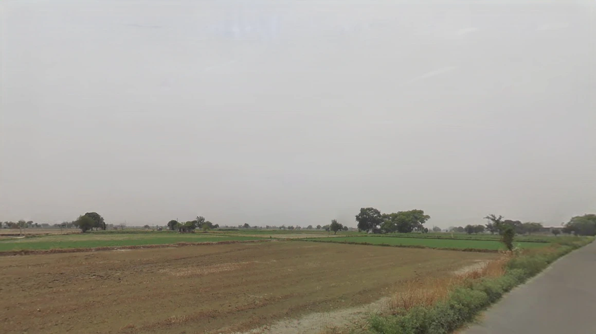 Dhaturi, Haryana 131039, India