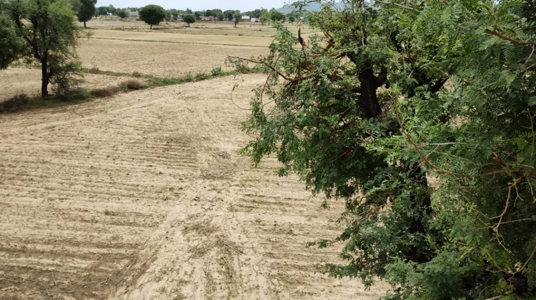 Pipraich, Uttar Pradesh, India