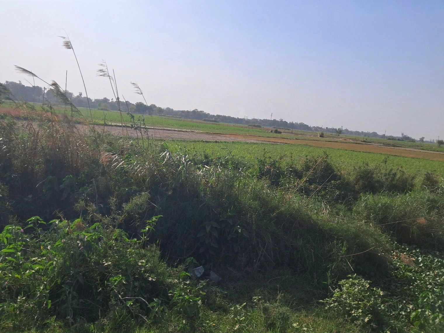 H564+JQ Dubawa, Uttar Pradesh, India