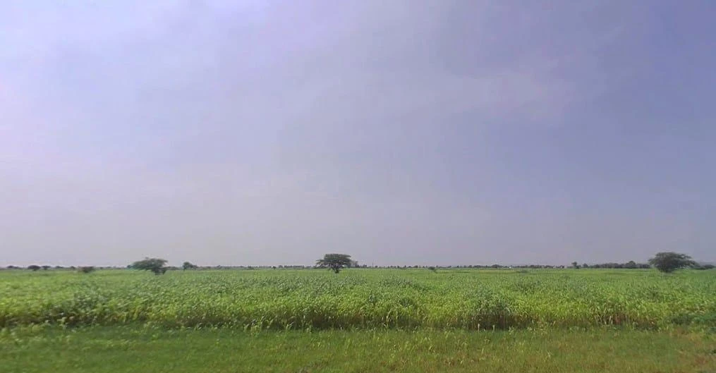 GCWX+7X3, Thanwala, Rajasthan 305026, India