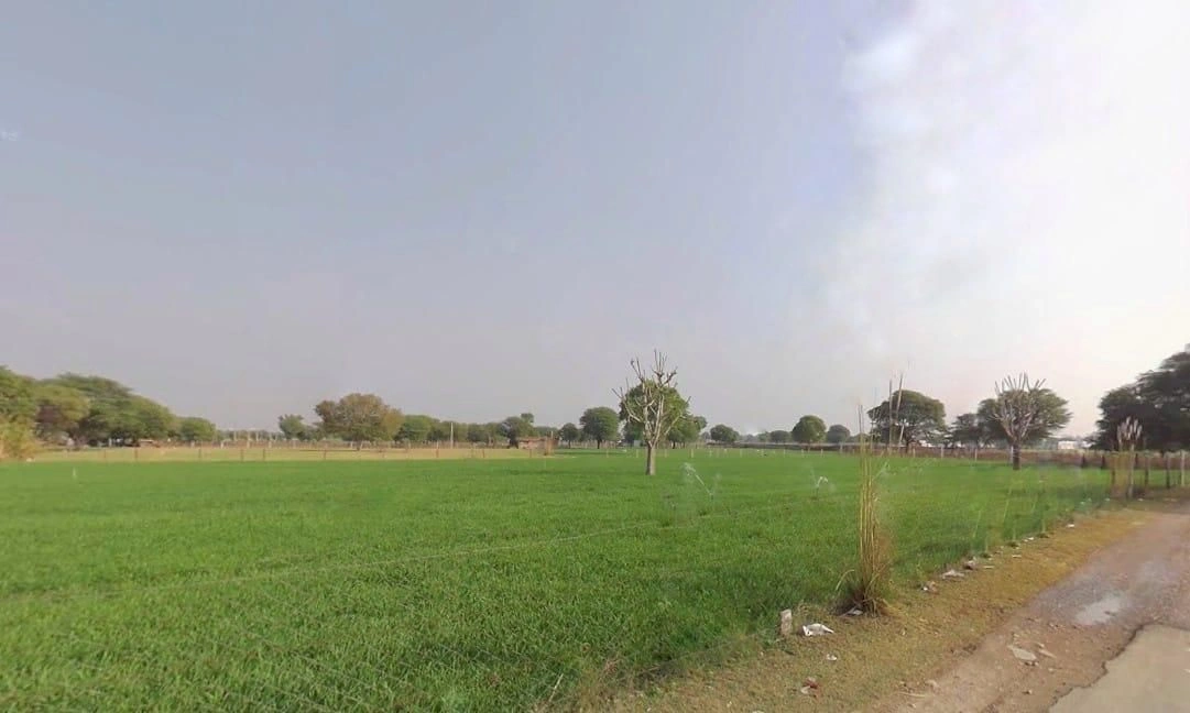 Reengus, Rajasthan, India