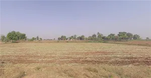 Anvarpura, Gujarat 384245, India preview 2