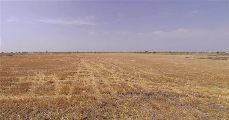 Viramgam, Gujarat 382150, India