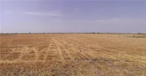 Viramgam, Gujarat 382150, India preview 2