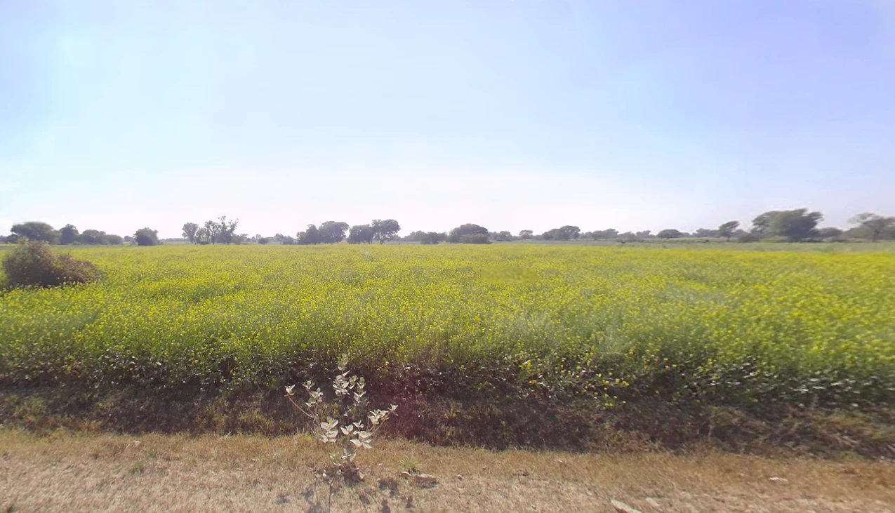 Churu, Rajasthan 331001, India