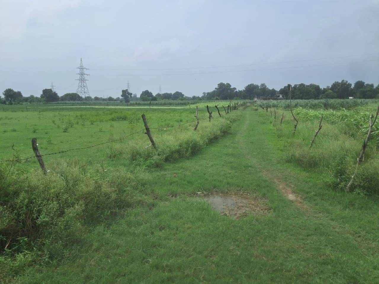 V628+C8 Raheli, Gonda, Uttar Pradesh, India