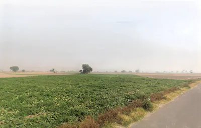 Hassanpur, Haryana 131039, India preview 3