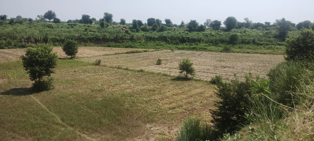 Jugrawar, Rajasthan, India