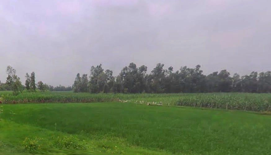 Sitapur, Uttar Pradesh, India