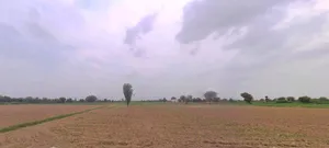 Diggi Nukad Police Thana, SH 12, Rajasthan 304504, India preview 3