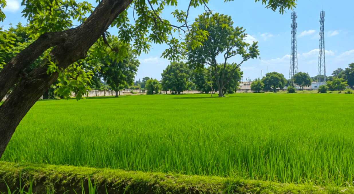 Khair, Aligarh, Uttar Pradesh 202138, India