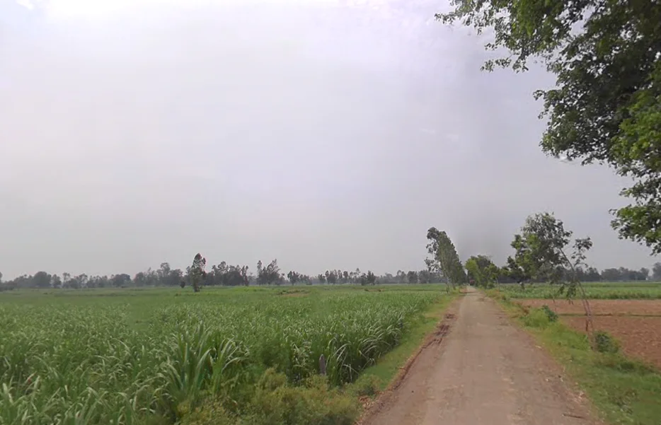 Tajpur, Uttar Pradesh, India preview 2