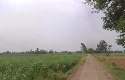 Tajpur, Uttar Pradesh, India preview 2