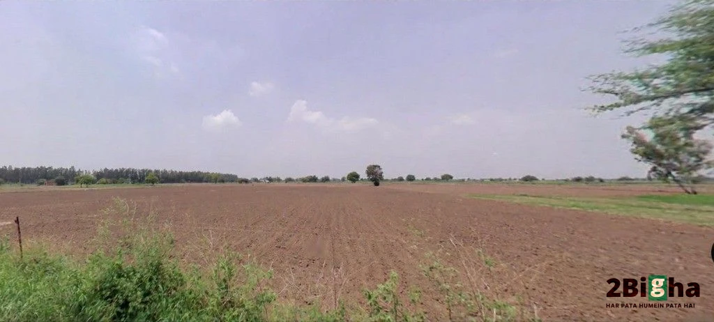 Hansi, Haryana 125033, India