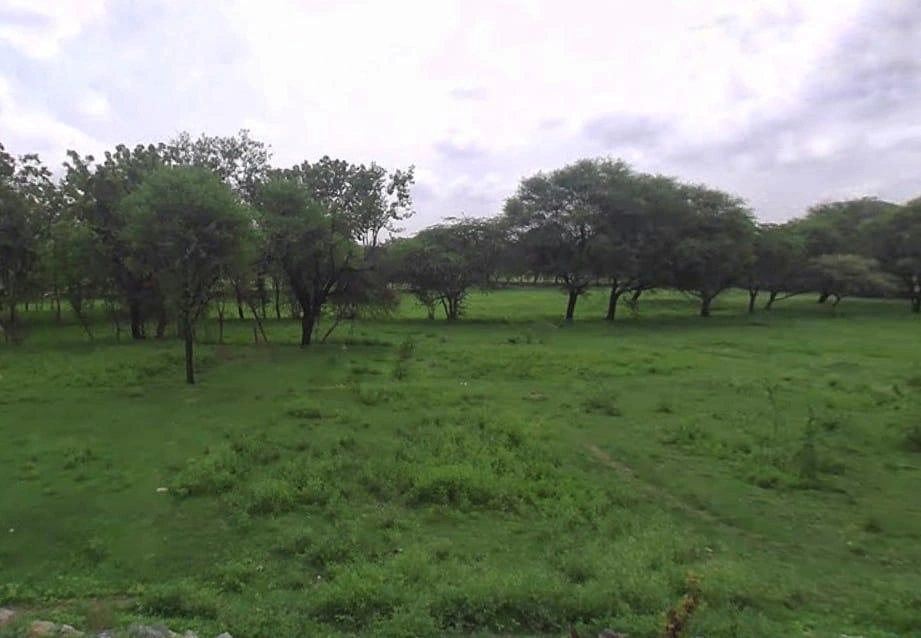 Ramsar Palawala, Rajasthan, India