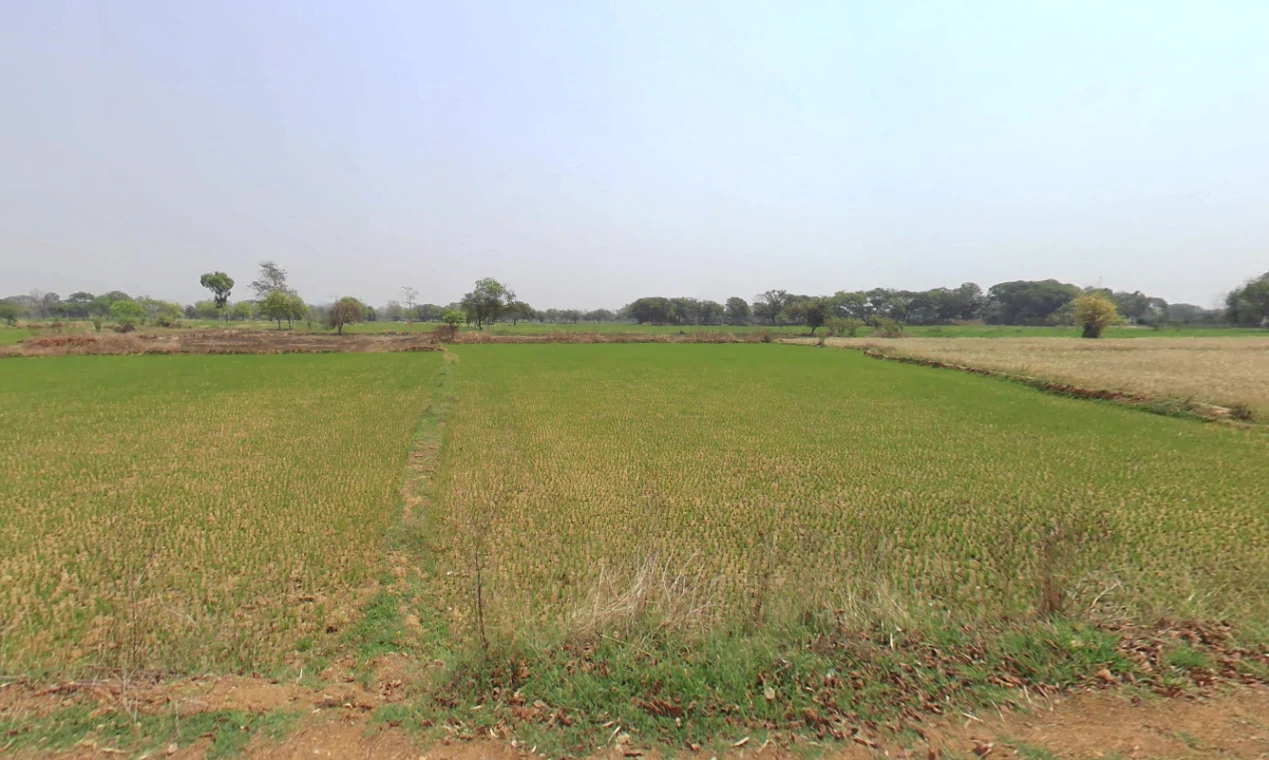 Raita, Chhattisgarh, India