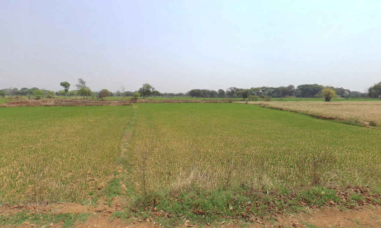 Raita, Chhattisgarh, India