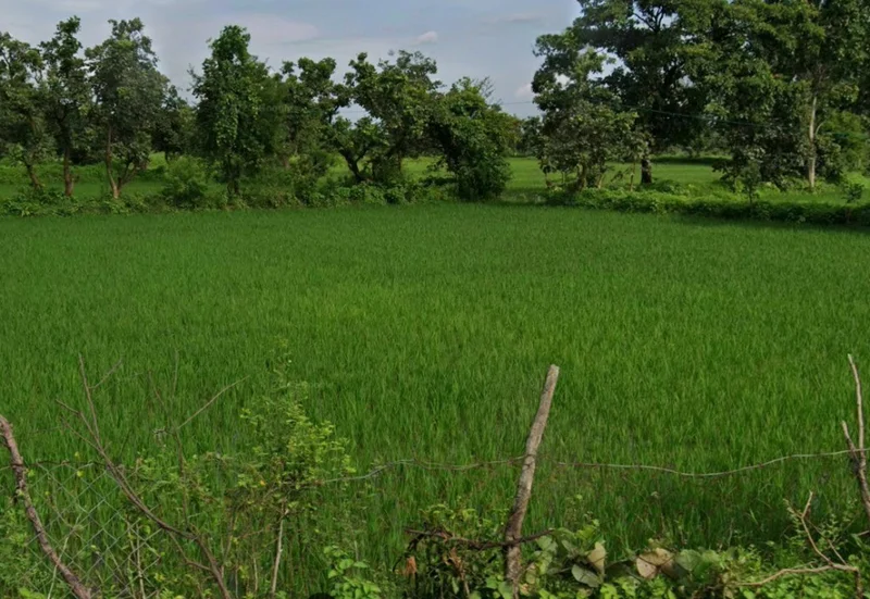 Marwahi, Chhattisgarh 495118, India preview 3