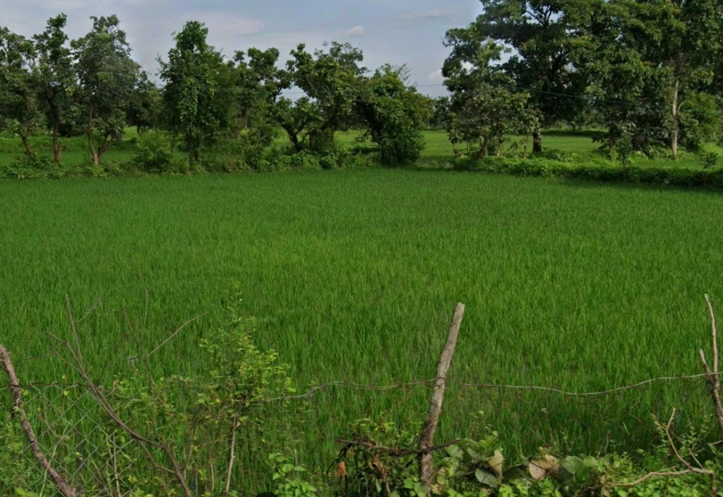 Marwahi, Chhattisgarh 495118, India