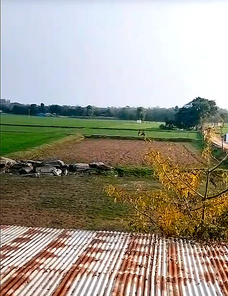 MGMW+W6 Odhandha, Rajasthan, India preview 3