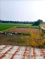 MGMW+W6 Odhandha, Rajasthan, India preview 3