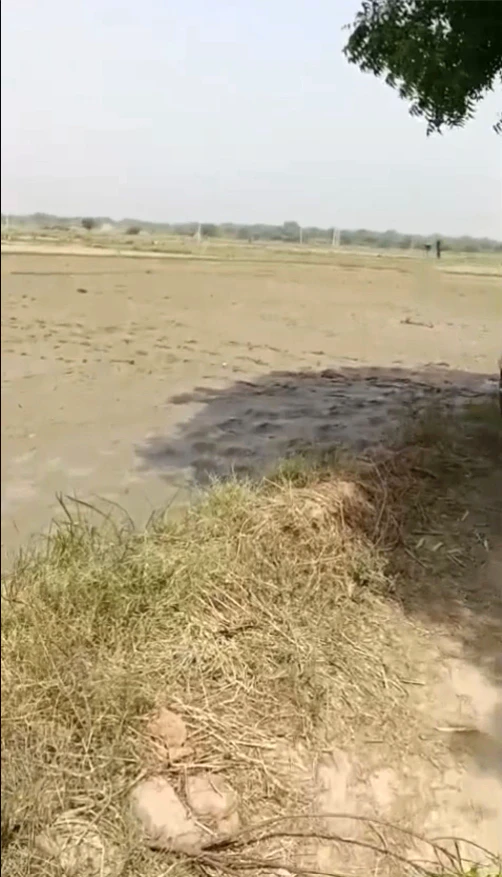Anupshahar Khadar, Anupshahr, Bulandshahr, Uttar Pradesh, India
