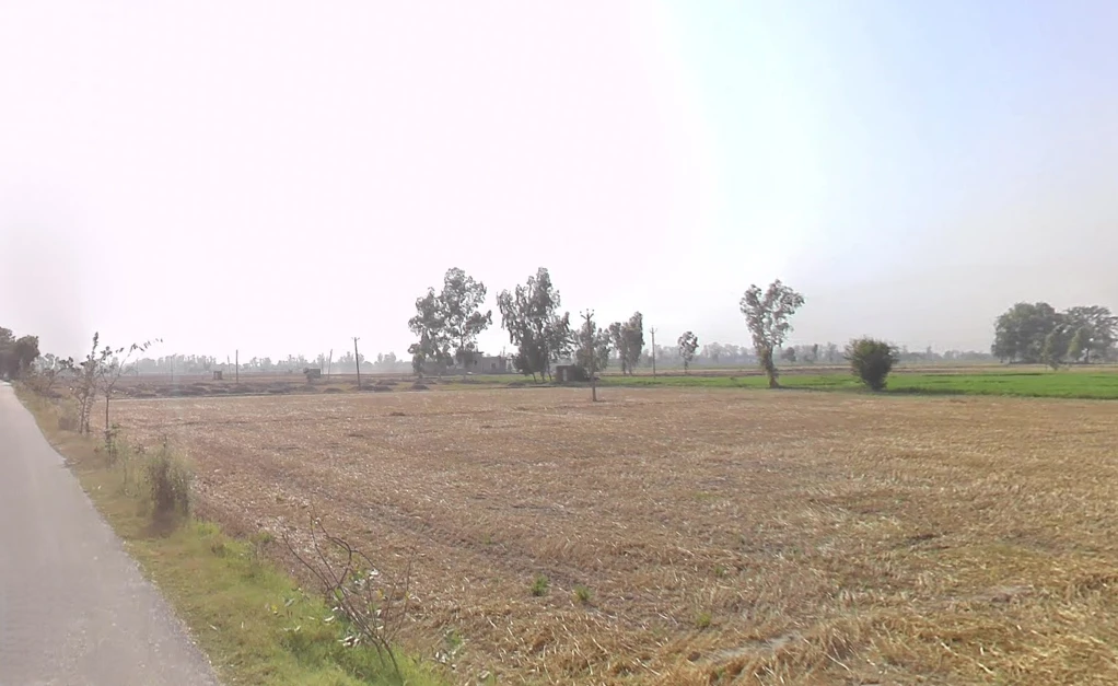 Rajpura, Punjab, India