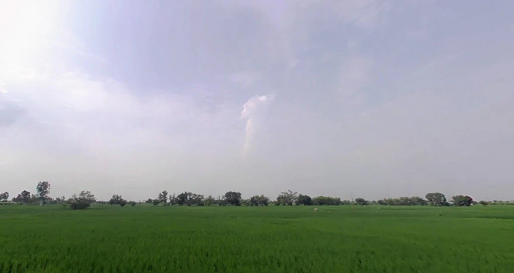 Mandkola, Haryana 121103, India