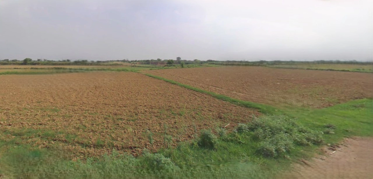 Barnagar, Madhya Pradesh 456771, India