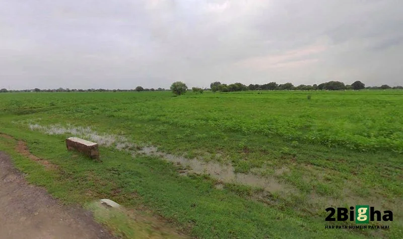 CX2M+VCH, Kherki Daula, Sector 84, Gurugram, Haryana 122012, India preview 3