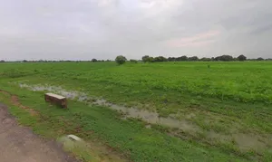 CX2M+VCH, Kherki Daula, Sector 84, Gurugram, Haryana 122012, India preview 3