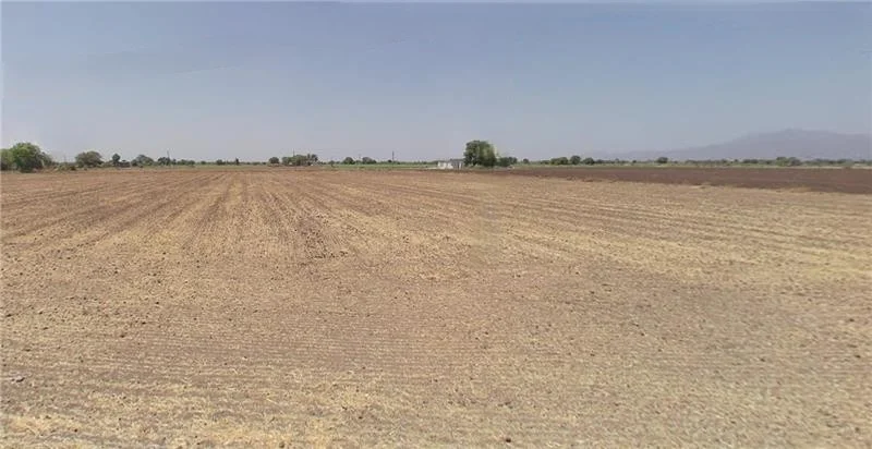 Kathi, Gujarat, India preview 3