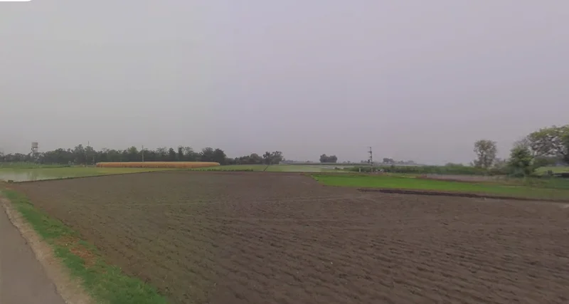 Katariya, Gujarat 363421, India preview 3